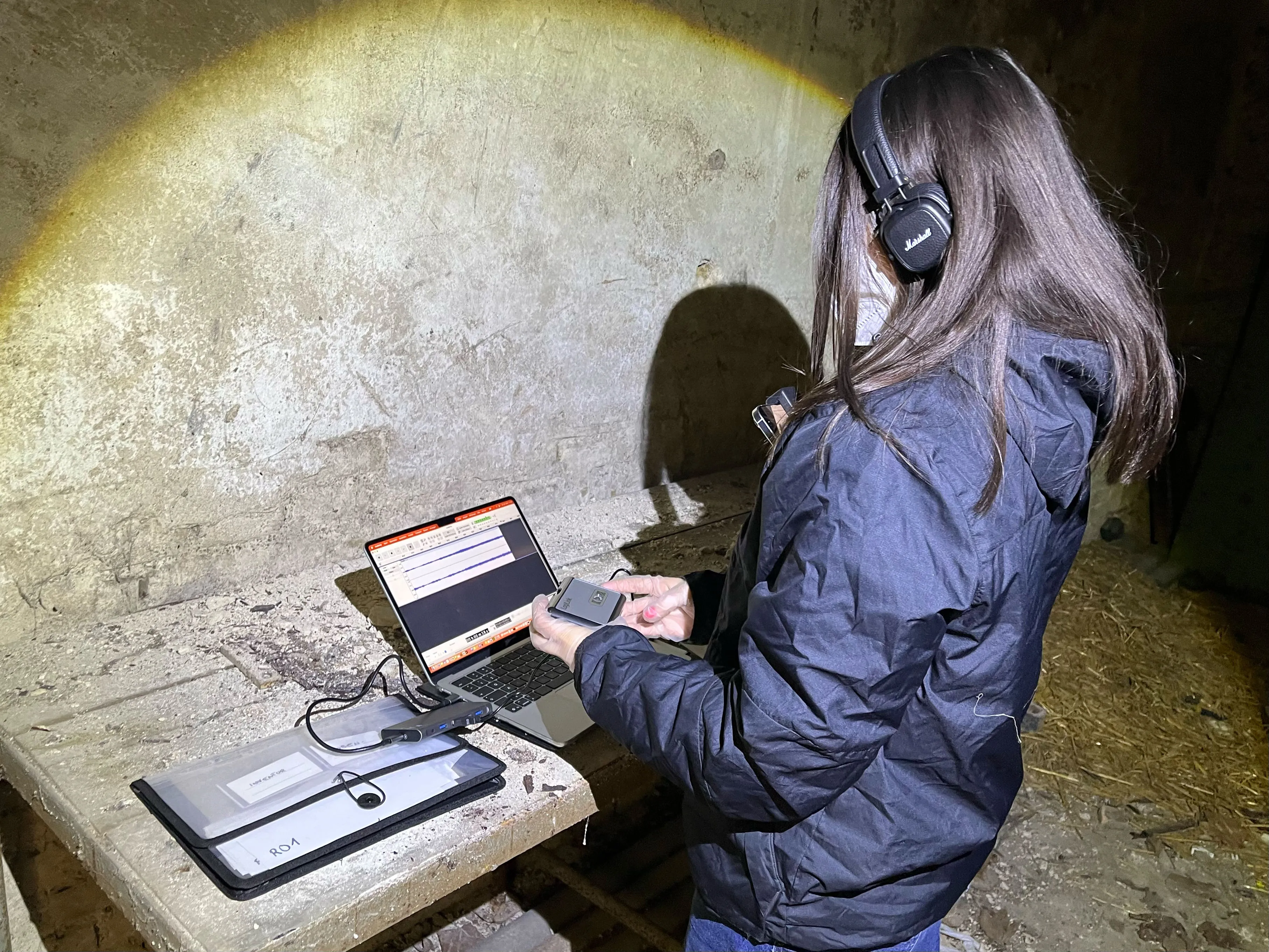 Iris Kienzl, Inventur, 2026, Installation, Untersuchungssystem